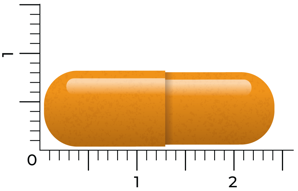 Vitakruid groene Thee & Bioperine® >50% Egcg >80% Catechines (60 vega capsules) - image 4