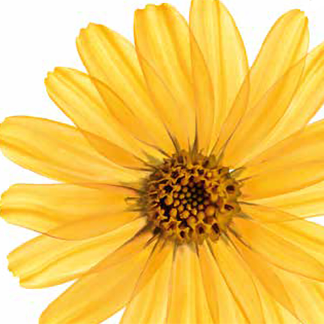 Kneipp Badkristal arnica active (600 gr) - image 2