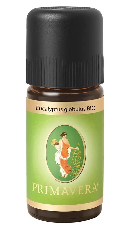 Primavera Eucalyptus globulus bio (10 ml)
