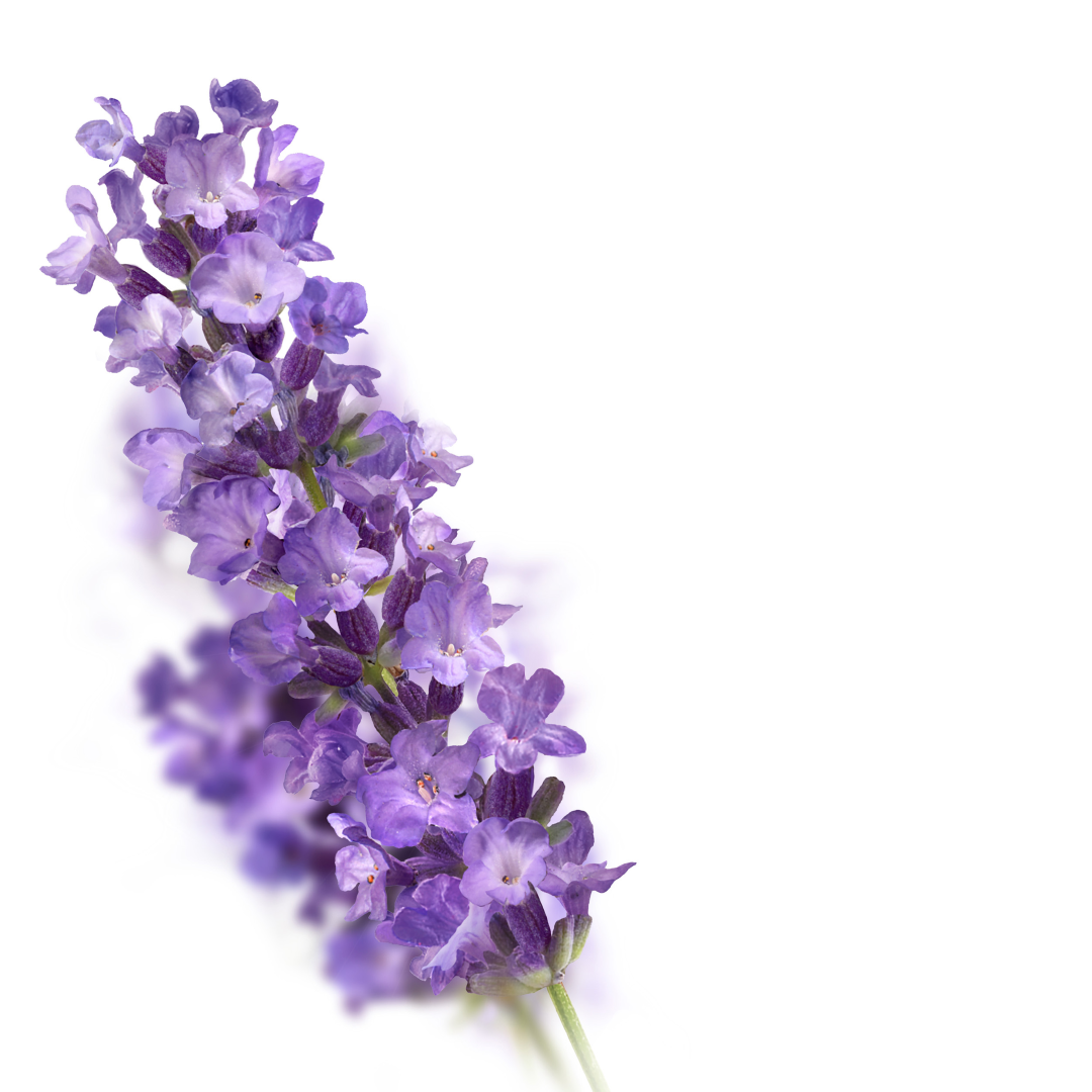 Kneipp Douchescrub relaxing (200 ml) - image 2