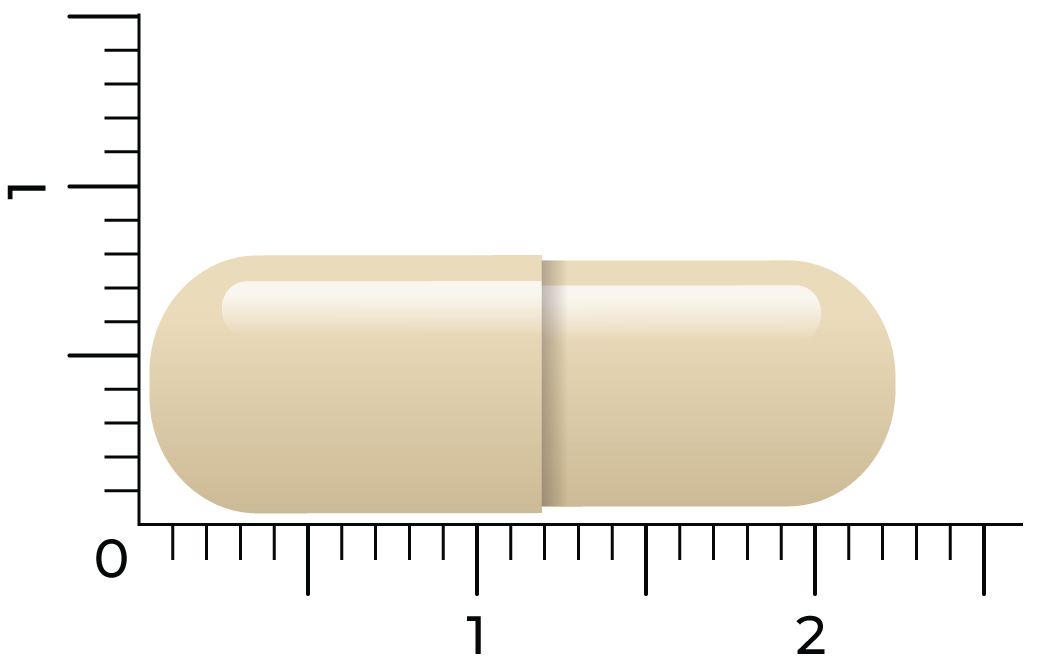 Vitakruid Para Dtx Kruidenformule Oa Oregano & Knoflook (60 vega capsules) - image 4