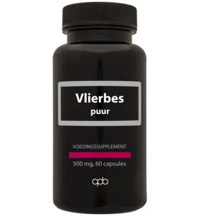 APB Holland Vlierbes/sambucus nigra 500mg puur (60 vega capsules)