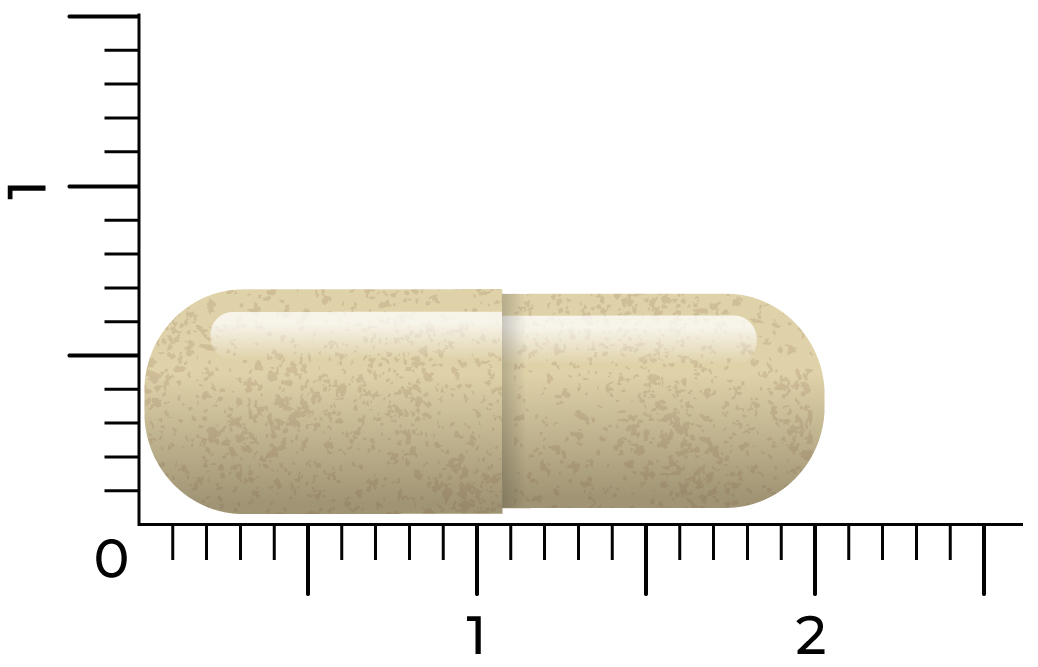 Vitakruid Saffraan 28 Mg (Affron®) & L-Theanine Groene Thee (90 vega capsules) - image 4