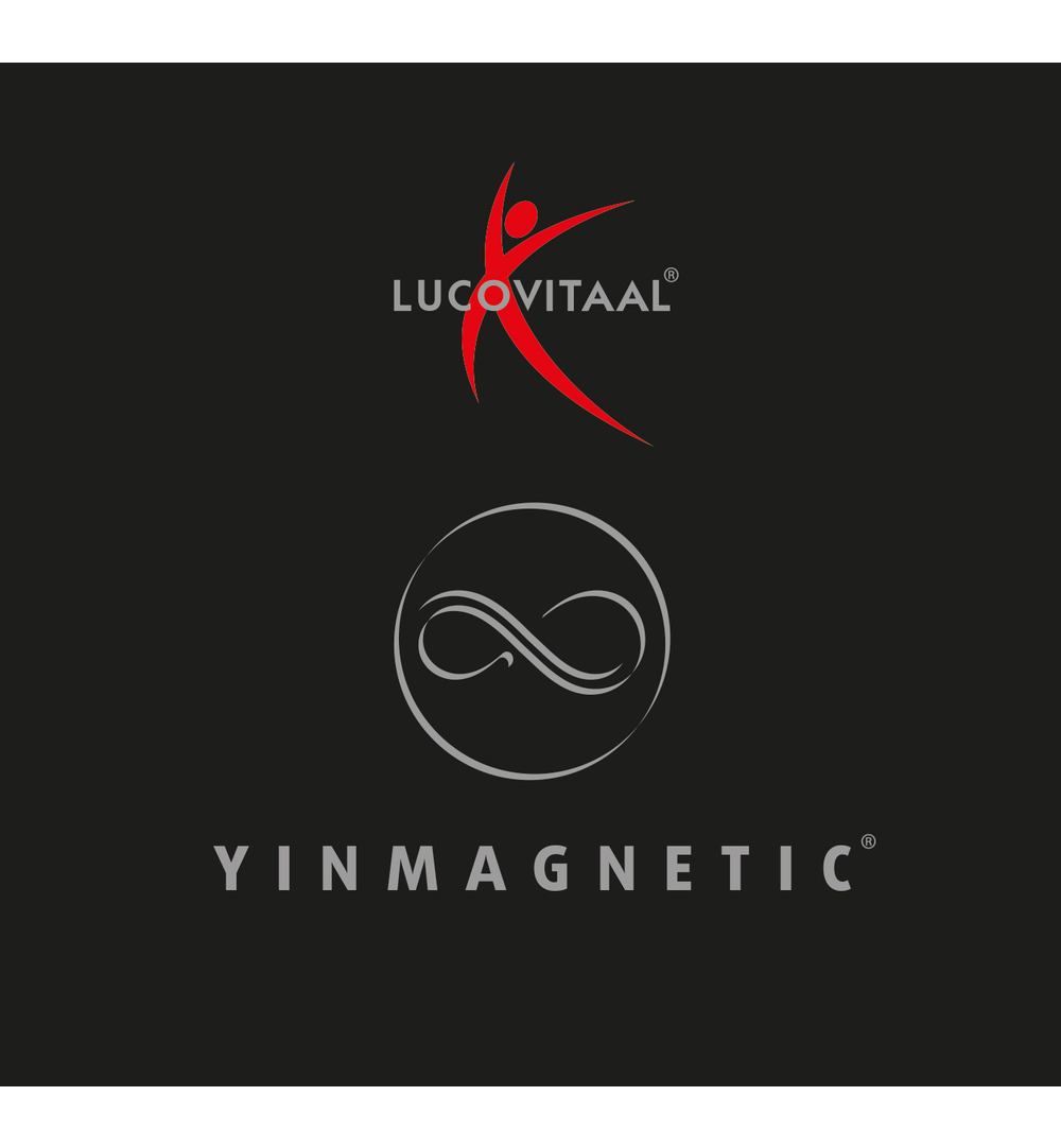 Lucovitaal Magneet Armband Zilver (1 stuk) - image 3