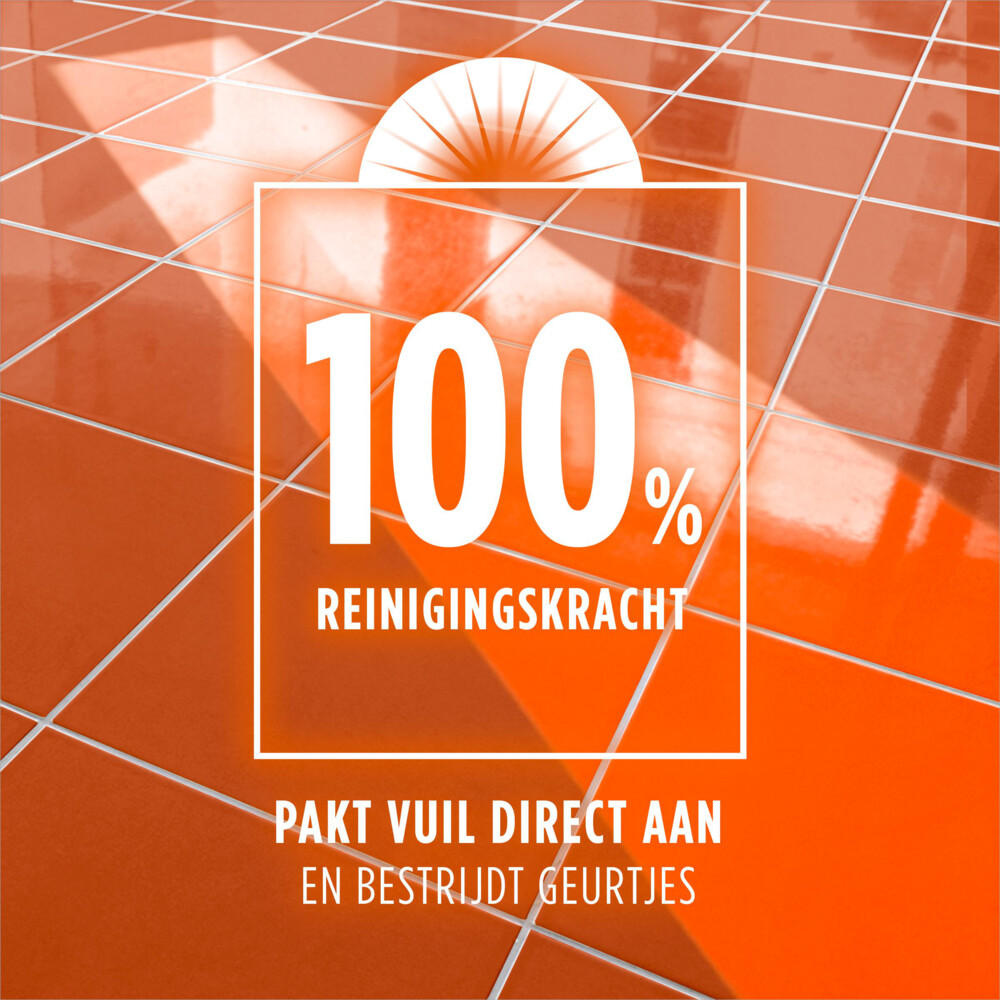 Ajax Allesreiniger Fete Des Fleurs Perzik (1000 ml)