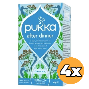 4x Pukka After Dinner (20 zakjes)