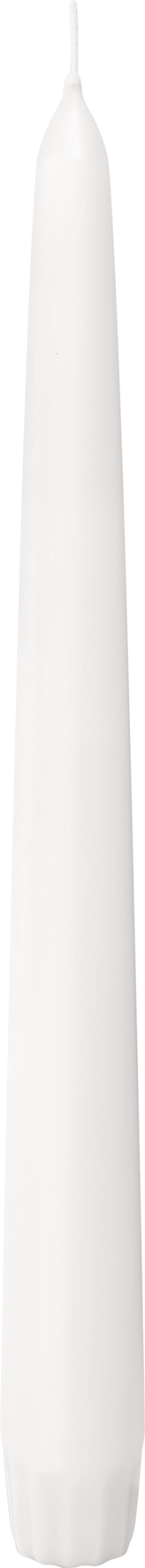 Bolsius Horeca Gotische Kaars 250/24 Doos 30 Wit (30 stuks)