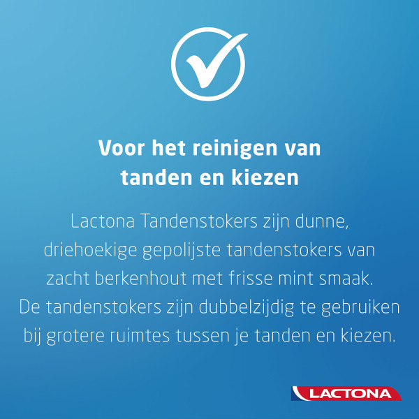 Lactona Intersticks Tandenstokers (100 stuks)