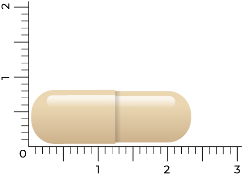 Vitakruid Energiecomplex O.A. Groene Thee 750 En Ginseng 200 (60 vega capsules) - image 4