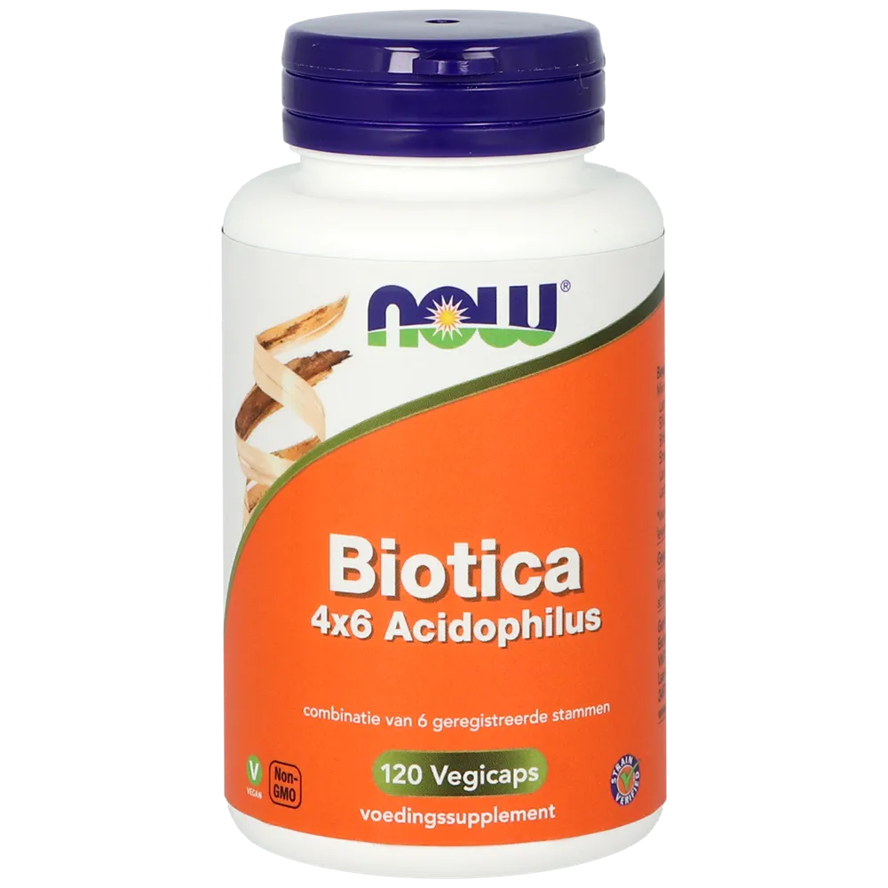 Now Biotica 4x6 Acidophilus (120 vega capsules)