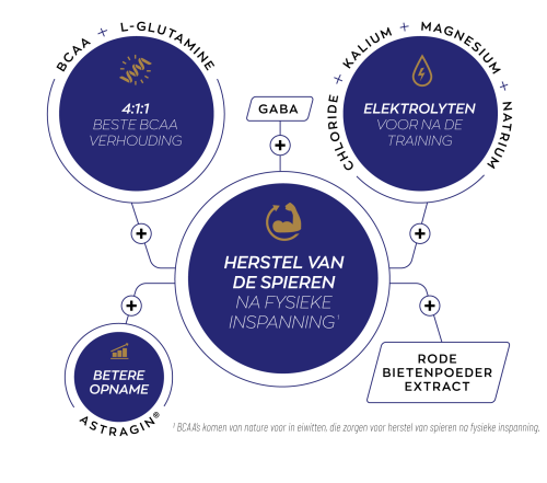 Vitakruid Elite Post Workout Man Bcaa 4:1:1 & Elektrolyten (360 gr) - image 4