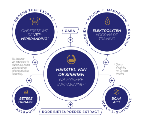 Vitakruid Elite Post Workout Vrouw Bcaa 4:1:1 & Elektrolyten (325 gr) - image 4