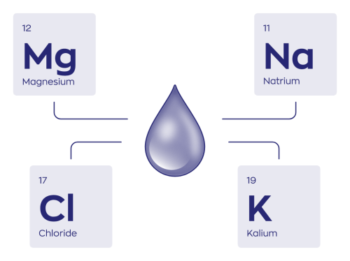 Vitakruid Elite Post Workout Vrouw Bcaa 4:1:1 & Elektrolyten (325 gr) - image 7