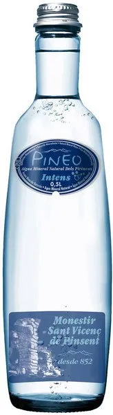 Pineo Mineraalwater Intens, Met Koolzuur (500 ml)