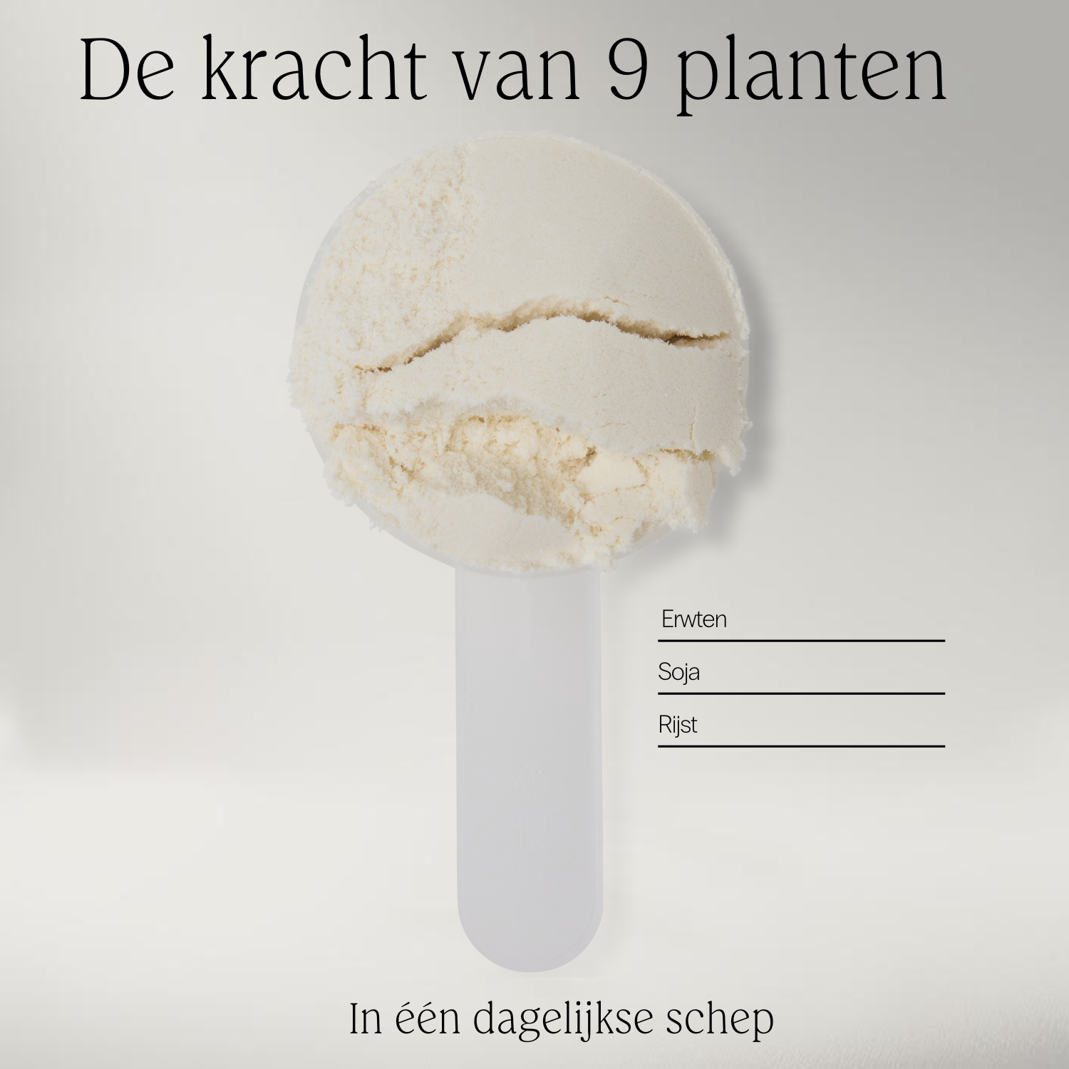 Boom Nutritions Protein Powder Vanille Vegan (450 gr) - image 6